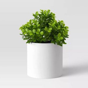 Threshold Potted Faux Plant Boxwood 5"